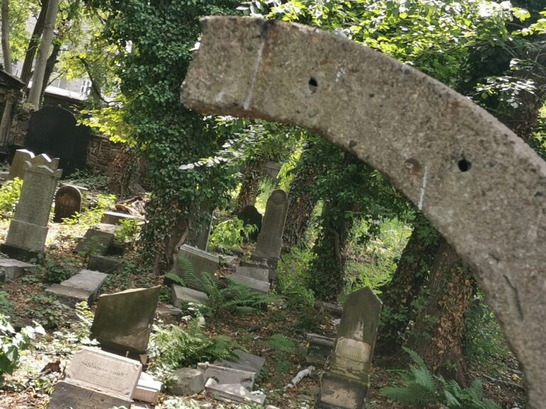 Stary Cmentarz Żydowski, Katowice, województwo śląskie - relacja z 07.2022, zdjęcie 22