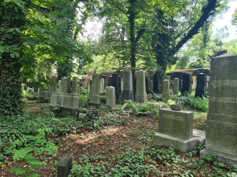 Stary Cmentarz Żydowski, Katowice, województwo śląskie - relacja z 07.2022, zdjęcie 29