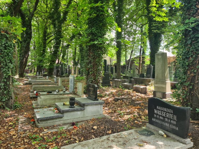 Stary Cmentarz Żydowski, Katowice, województwo śląskie - relacja z 07.2022, zdjęcie 31