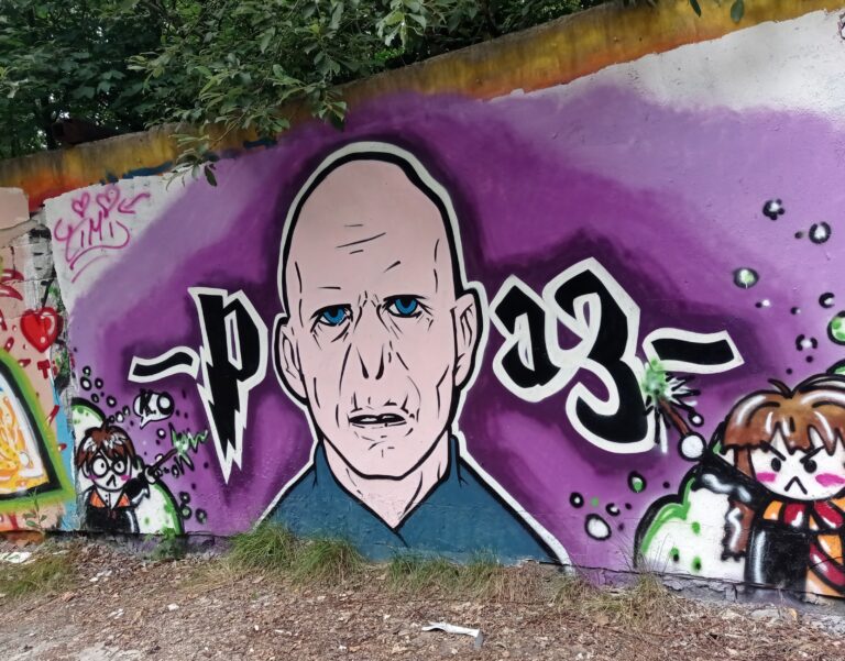 Ruiny dyskoteki Revolution., Jastrzębie-Zdrój, województwo śląskie - relacja z 07.2022, zdjęcie 10