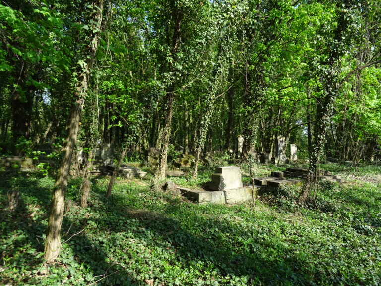 Cmentarz Żydowski, Częstochowa, województwo śląskie - relacja z 05.2019, zdjęcie 8