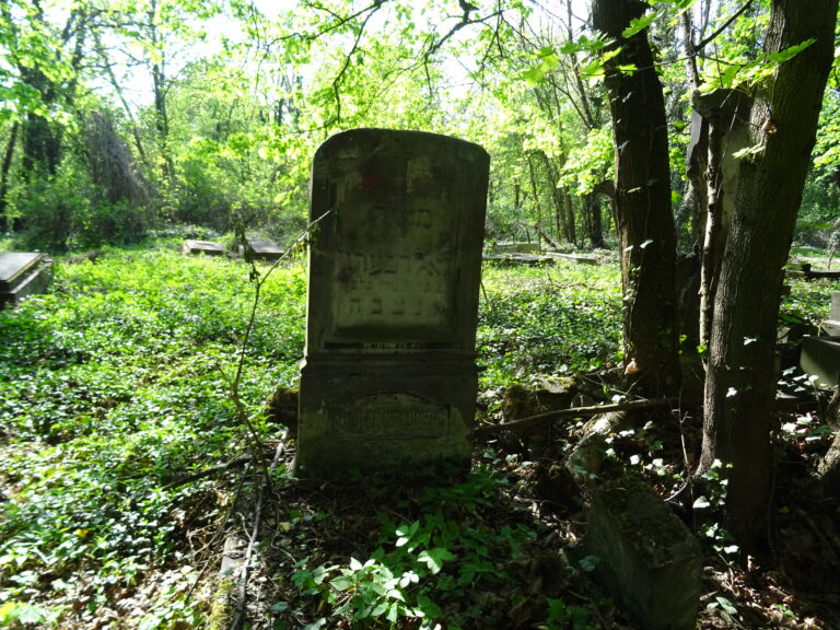Cmentarz Żydowski, Częstochowa, województwo śląskie - relacja z 05.2019, zdjęcie 9