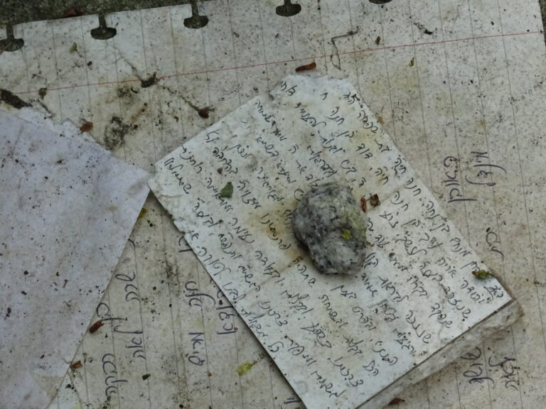 Cmentarz Żydowski, Częstochowa, województwo śląskie - relacja z 05.2019, zdjęcie 14