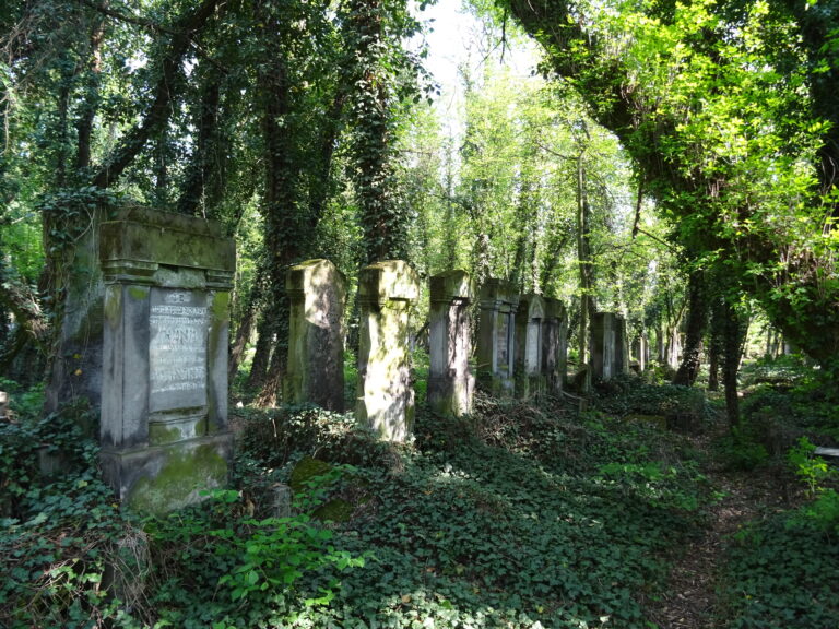 Cmentarz Żydowski, Częstochowa, województwo śląskie - relacja z 05.2019, zdjęcie 15