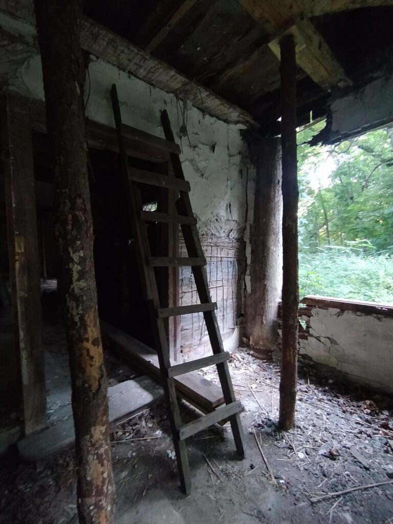 Zespół dworski Wyczółki, Warszawa, województwo mazowieckie - zdjęcie 2