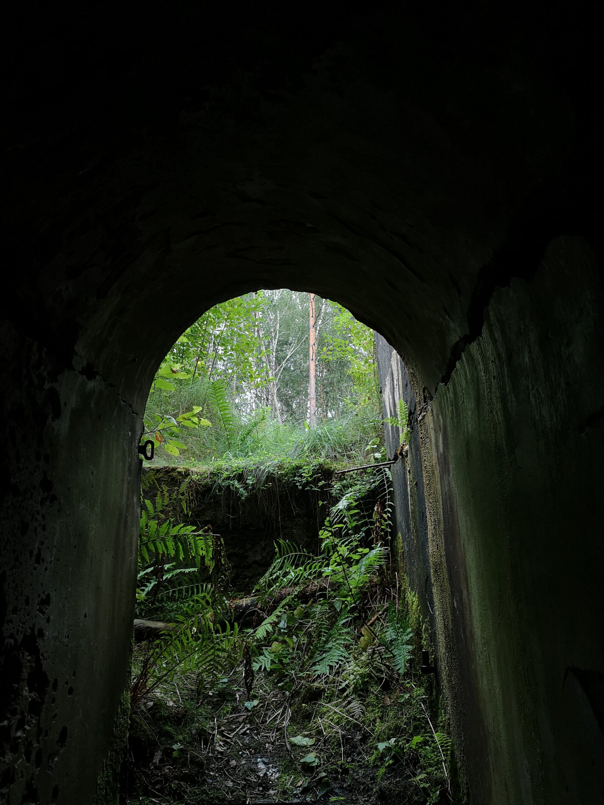 Fort Koroszczyn, Koroszczyn, województwo lubelskie