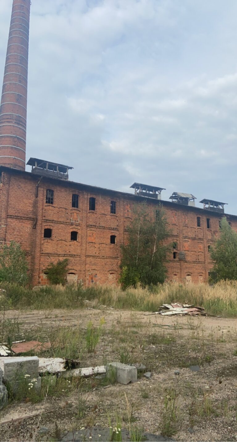 Cegielnia Findlerów, Kalisz, województwo wielkopolskie - relacja z 08.2022, zdjęcie 13