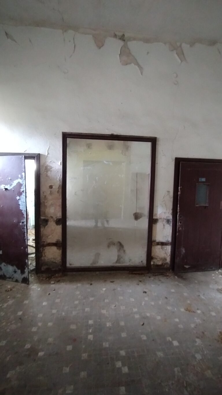 Pałac w Dobrocinie (Dolnośląskie), Dobrocin, województwo dolnośląskie - zdjęcie 5