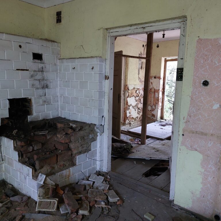 Zarośnięte gospodarstwo rolne, Kosuty, województwo lubelskie - zdjęcie 3
