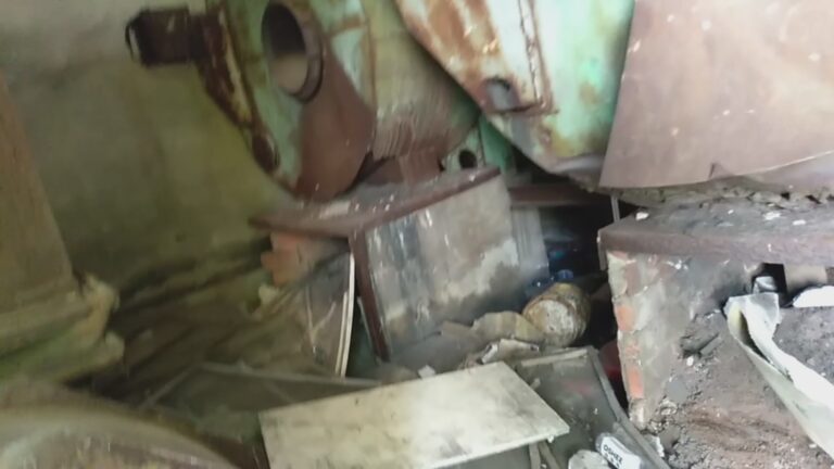 Wylęgarnia Kurczaków, Kalisz, województwo wielkopolskie - zdjęcie 2