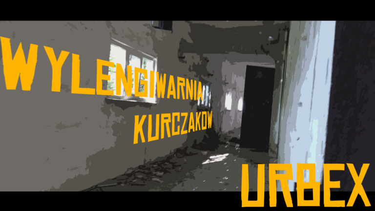 Wylęgarnia Kurczaków, Kalisz, województwo wielkopolskie - zdjęcie 3