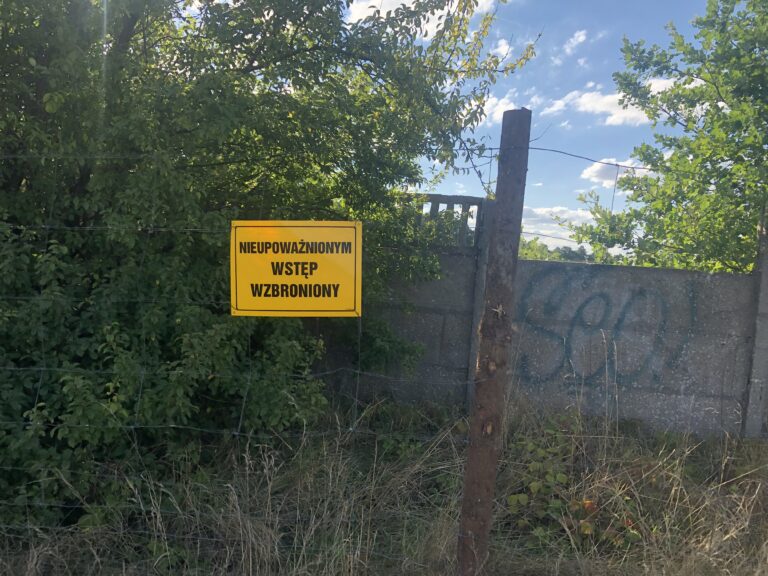 Dawny folwark Wielkie – ruiny., Chyby, województwo wielkopolskie - relacja z 09.2022, zdjęcie 5