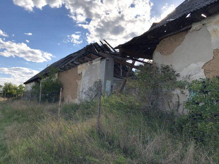 Dawny folwark Wielkie – ruiny., Chyby, województwo wielkopolskie - relacja z 09.2022, zdjęcie 6