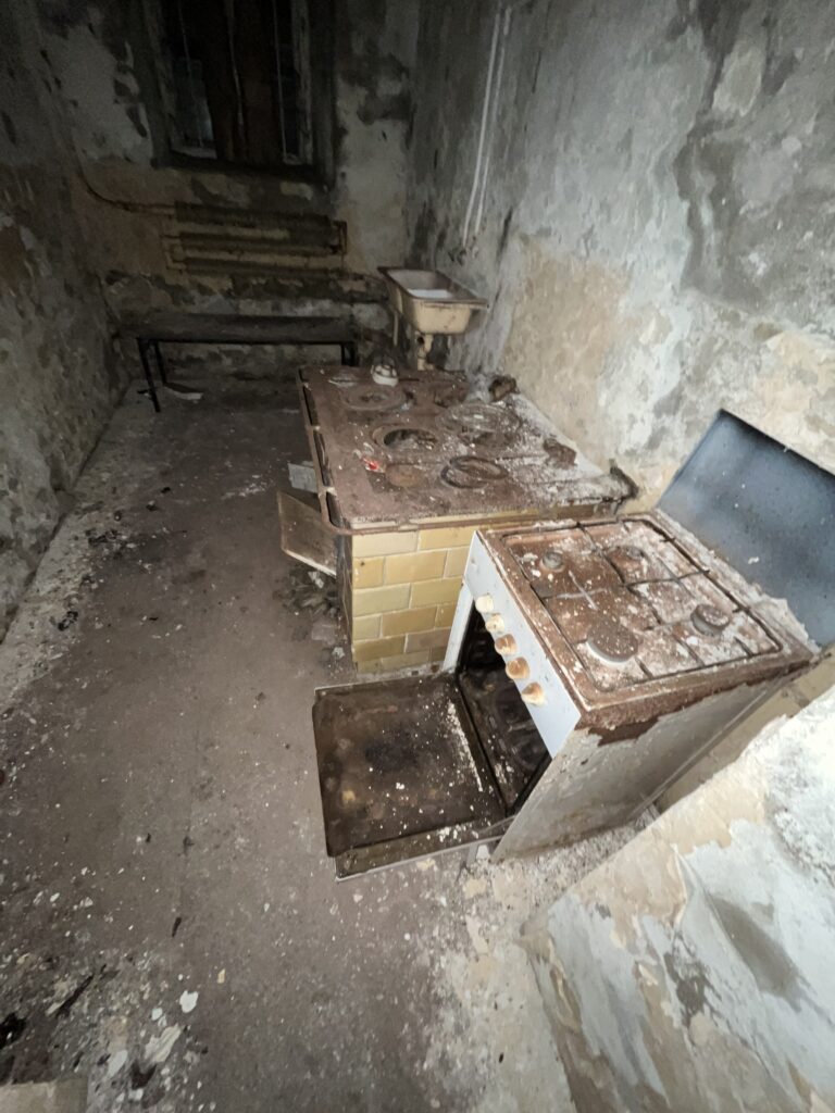 Pałac wola boglewska, Wola Boglewska, województwo mazowieckie - relacja z 09.2022, zdjęcie 16