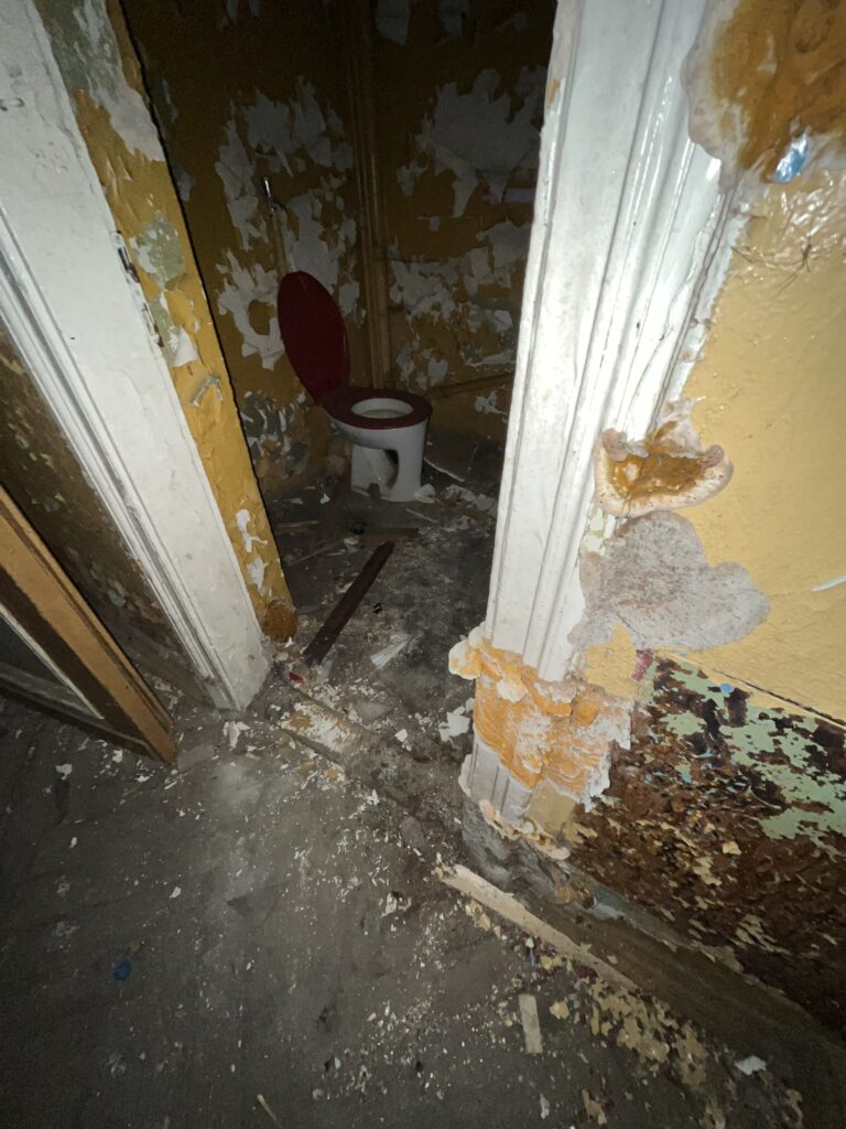 Pałac wola boglewska, Wola Boglewska, województwo mazowieckie - relacja z 09.2022, zdjęcie 18
