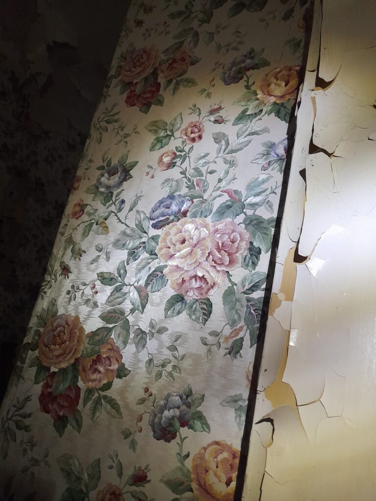 Opuszczona Kamienica przy Folwarcznej, Warszawa, województwo mazowieckie - zdjęcie 2