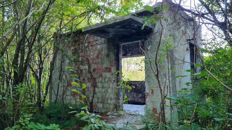 Spalarnia padłych zwierząt, Sikórz, województwo mazowieckie - relacja z 09.2022, zdjęcie 7