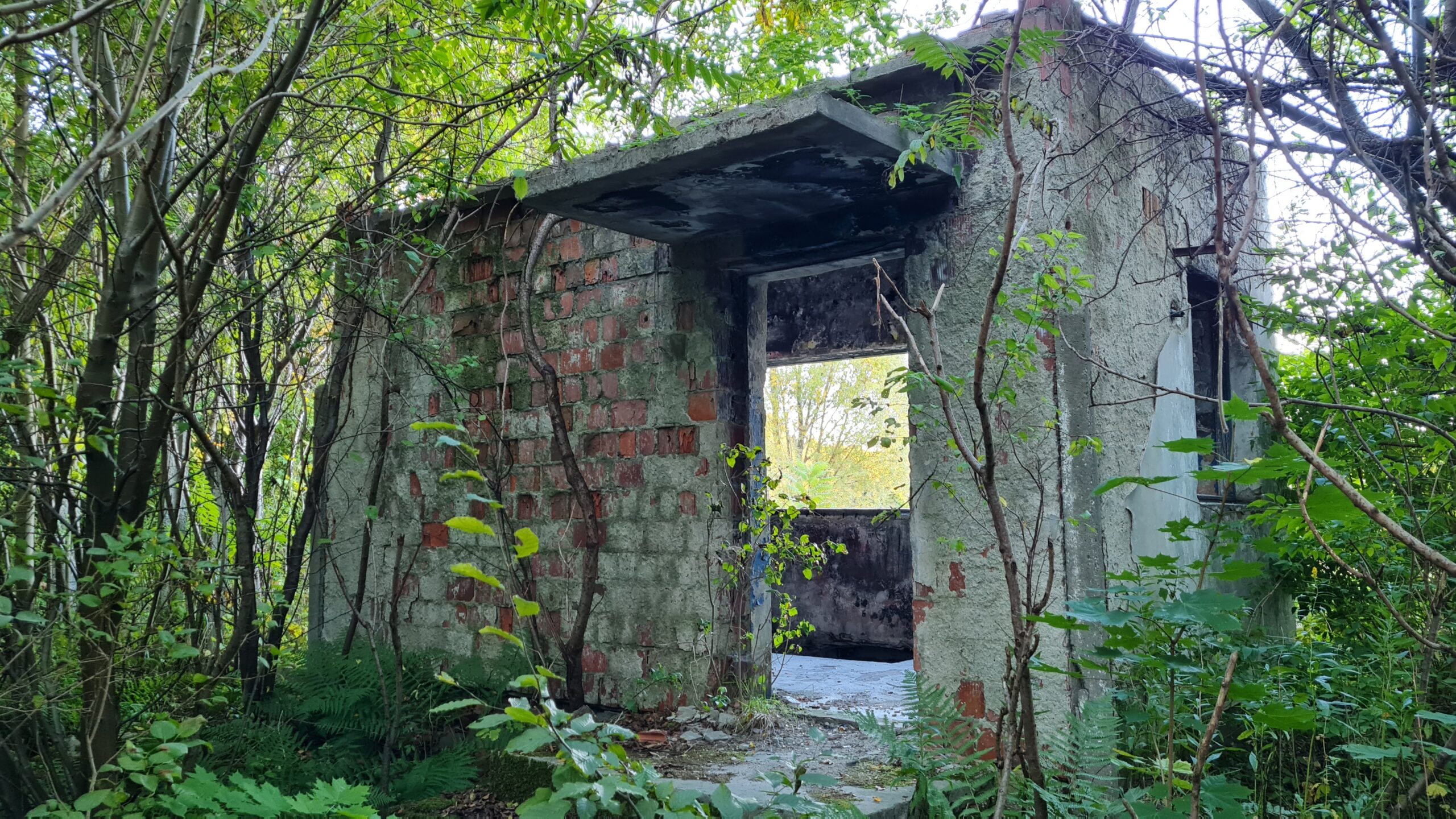 Spalarnia padłych zwierząt, Sikórz, mazowieckie — zdjęcie 1