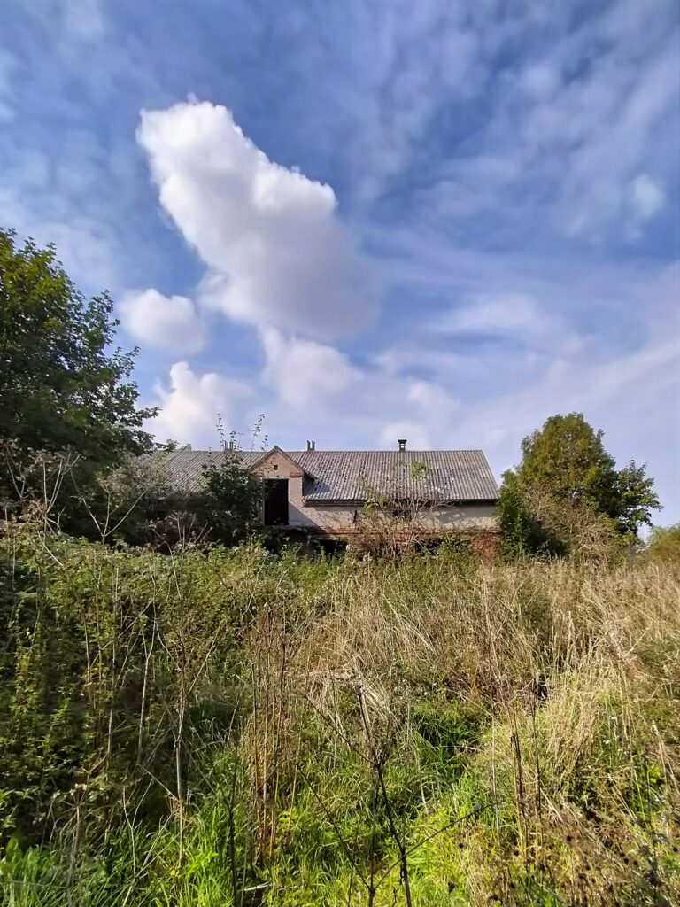 Dom dziwactw, Browina, województwo kujawsko-pomorskie - relacja z 09.2022, zdjęcie 10