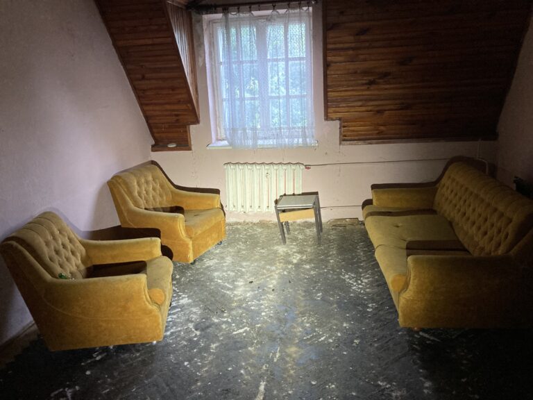 Opuszczony stary pałac, Trzcianka, województwo łódzkie - zdjęcie 6