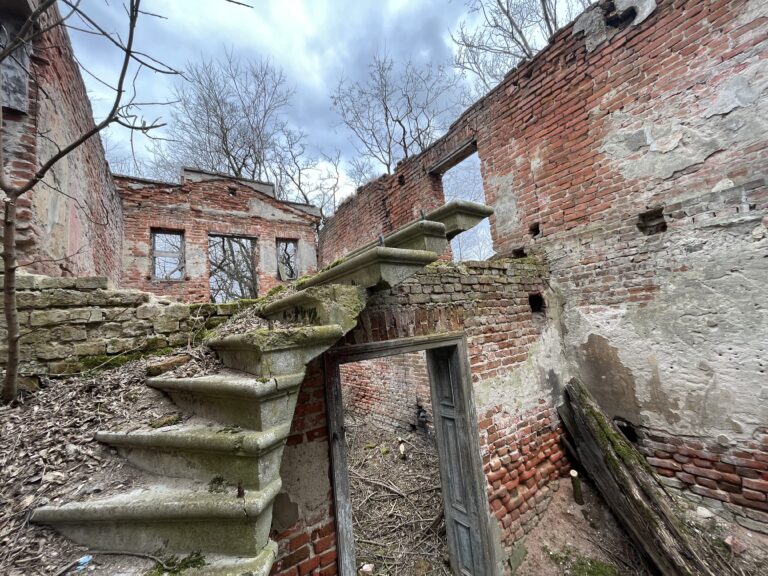 Ruiny pałacu w Janowicach, Janowice, województwo łódzkie - zdjęcie 4