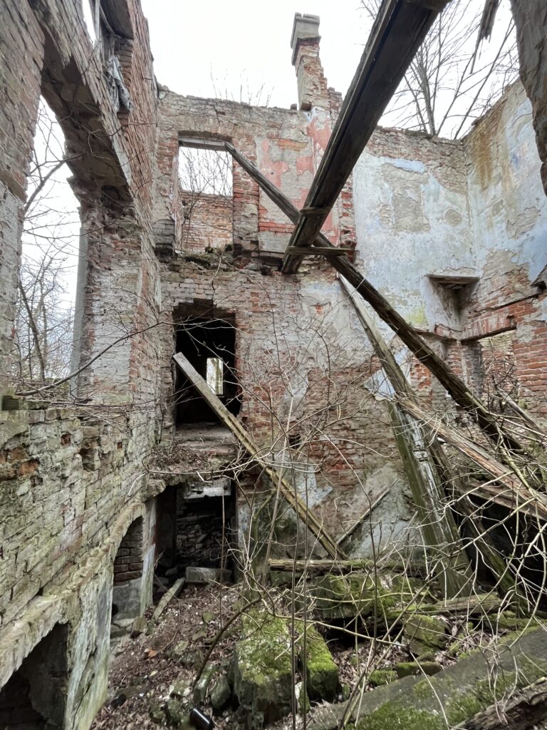 Ruiny pałacu w Janowicach, Janowice, województwo łódzkie - zdjęcie 6