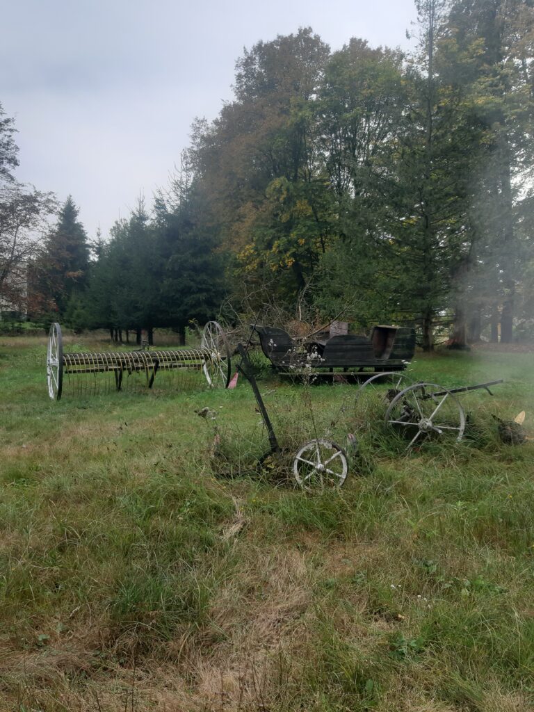Rezerwat smaków Leśne Wrota, Wojtkowizna, województwo warmińsko-mazurskie - zdjęcie 5