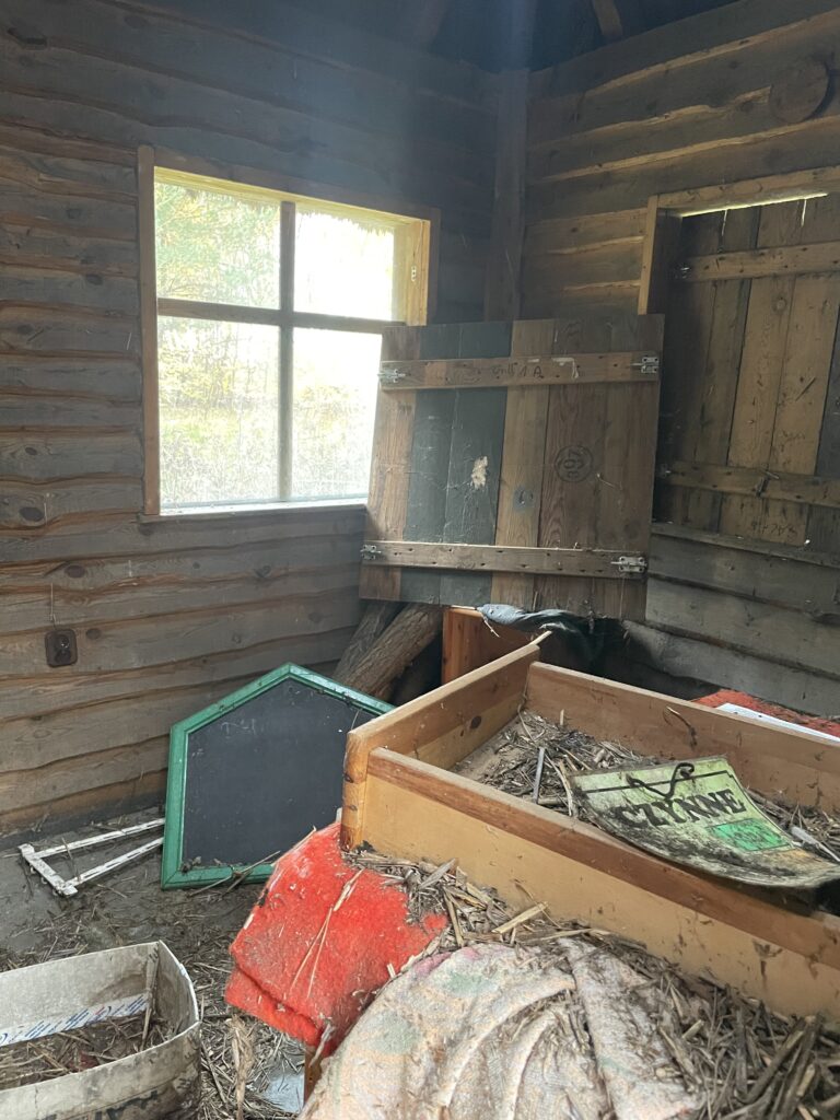 Opuszczony bar, Płochocinek, województwo kujawsko-pomorskie - zdjęcie 5