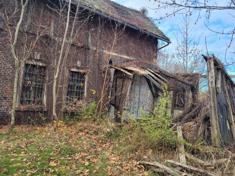 Stacja Kolejowa Nieborowice, Nieborowice, województwo śląskie - relacja z 11.2022, zdjęcie 11