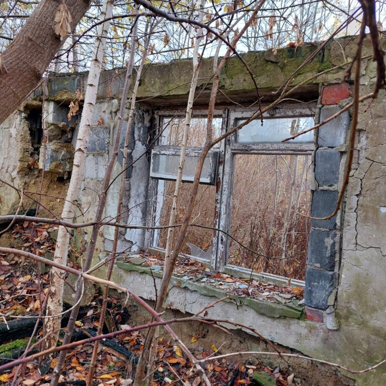 Domek, Hipolitów, województwo mazowieckie - zdjęcie 3