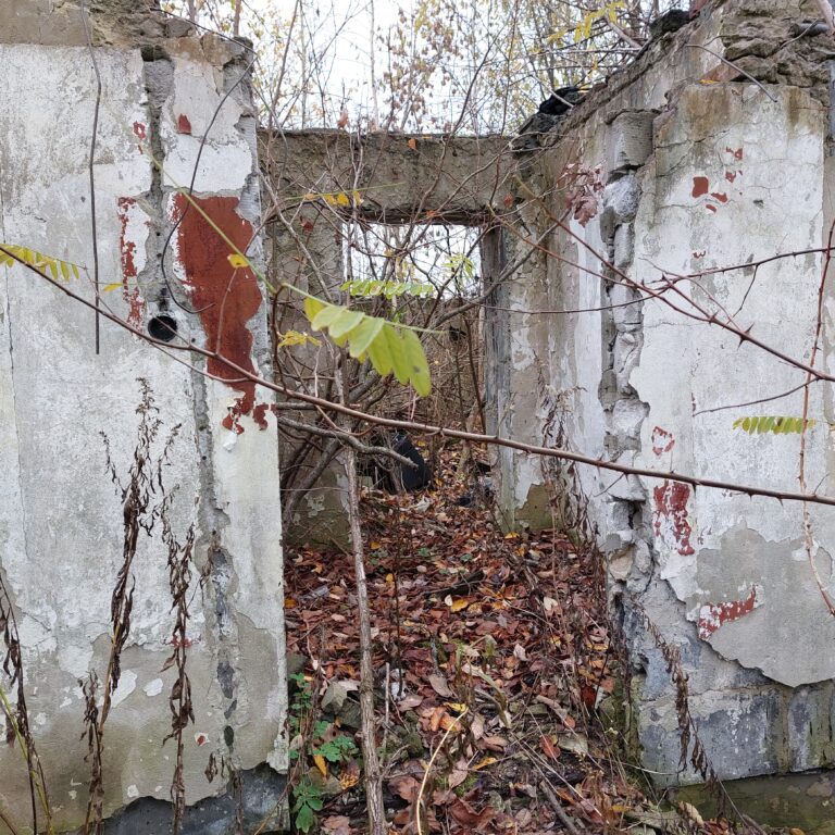 Domek, Hipolitów, województwo mazowieckie - zdjęcie 1
