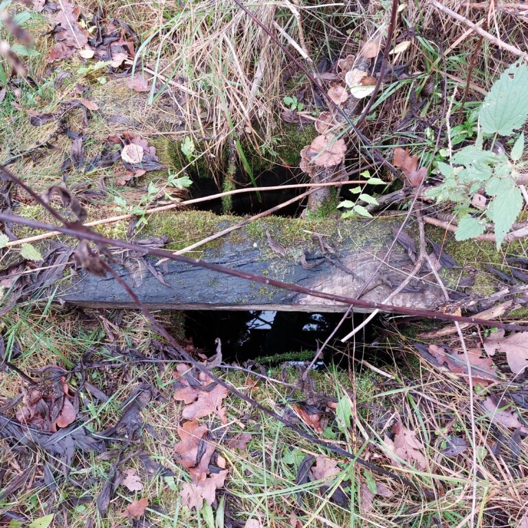 Mini fabryczka wełny, Cisie, województwo mazowieckie - zdjęcie 2
