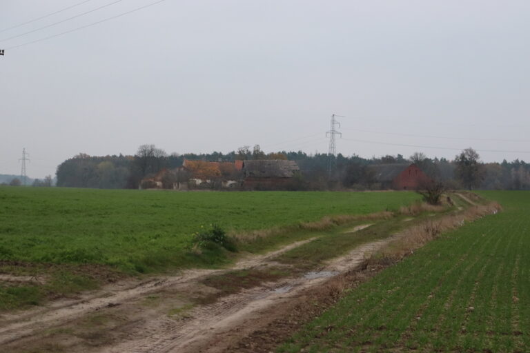 Rudunek, Polanowo, województwo wielkopolskie - relacja z 11.2022, zdjęcie 10