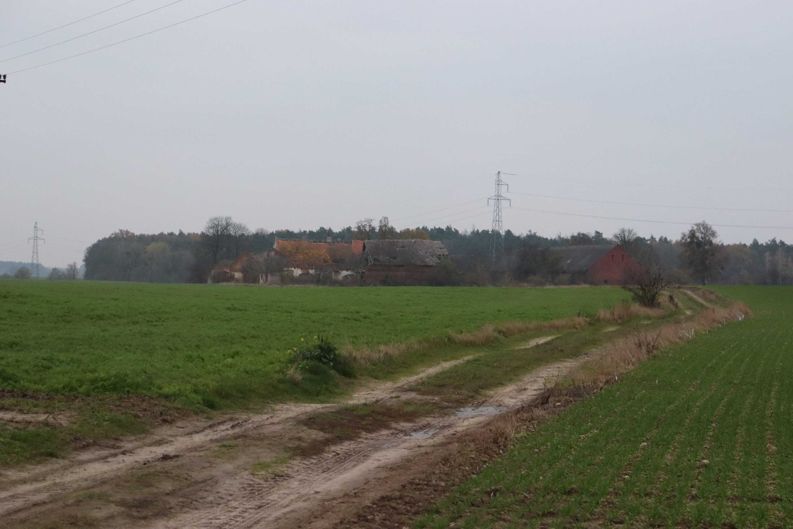 Rudunek, Polanowo, województwo wielkopolskie