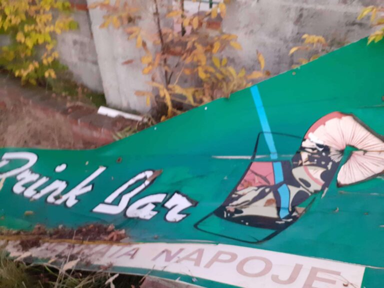 Zamek/Restauracja, Tarnobrzeg, województwo podkarpackie - zdjęcie 1