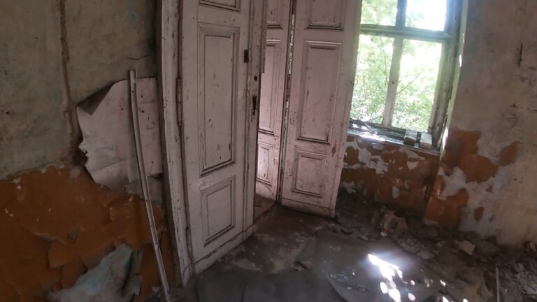 OPUSZCZONY DWOREK, Mysłowice, województwo śląskie - zdjęcie 5