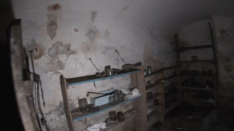 OPUSZCZONY DWOREK, Mysłowice, województwo śląskie - zdjęcie 8
