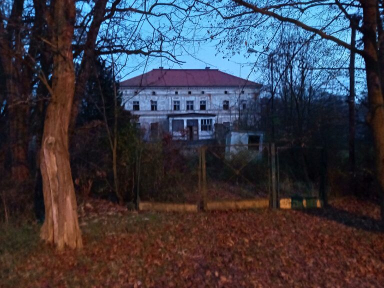 Pałac z XIX w, Siedlec, województwo dolnośląskie - relacja z 11.2022, zdjęcie 10