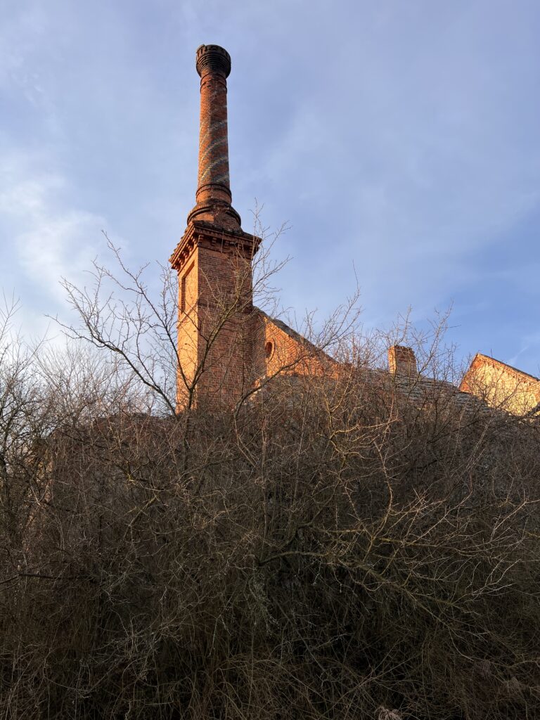 Folwark Cysterski -Biały Dwór, Rudy, województwo śląskie - zdjęcie 2