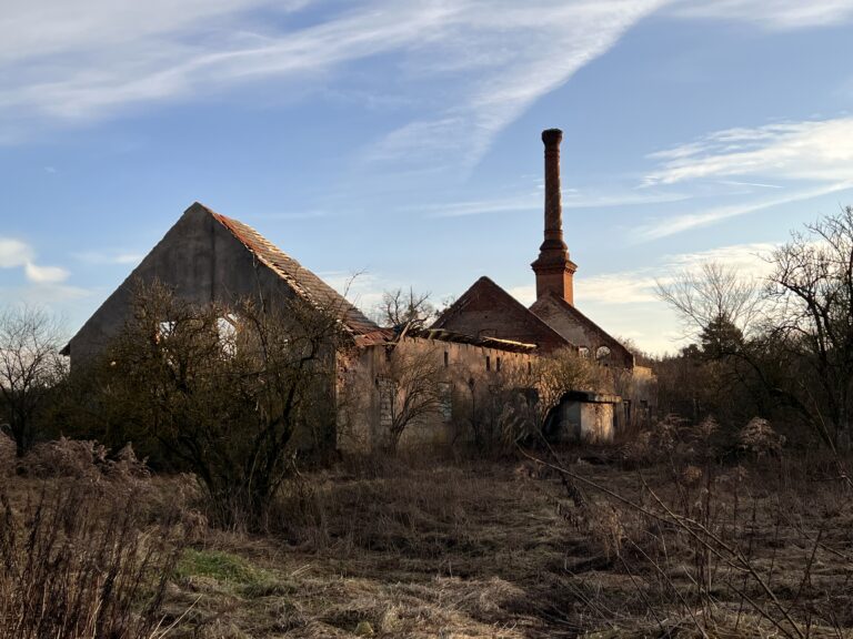 Folwark Cysterski -Biały Dwór, Rudy, województwo śląskie - zdjęcie 3