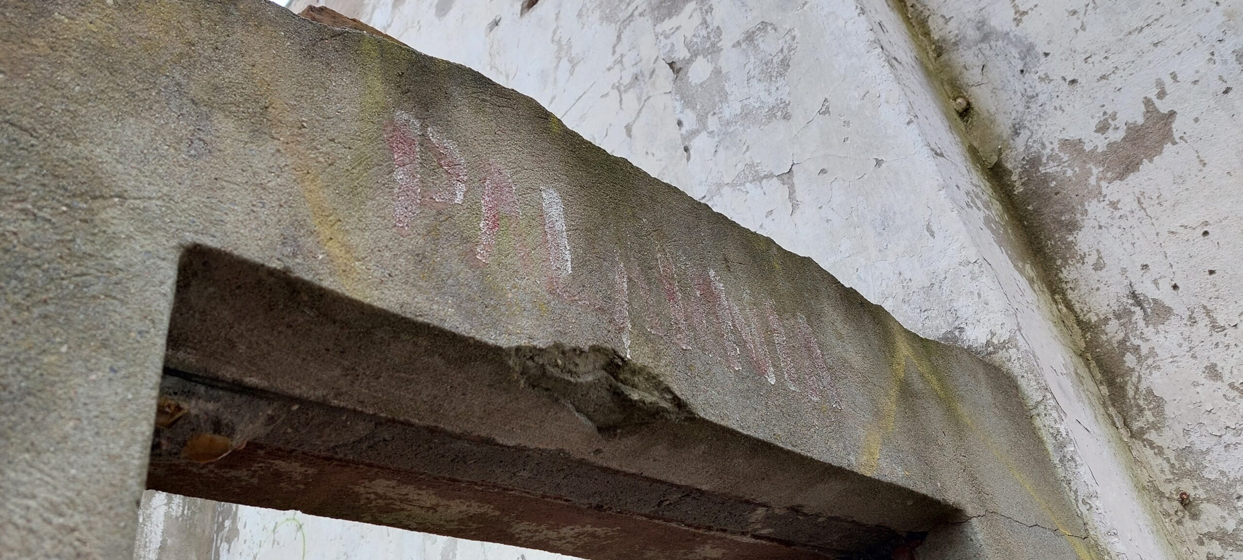 Ruina oczyszczalni ścieków, Tomaszów Mazowiecki, łódzkie — zdjęcie 3