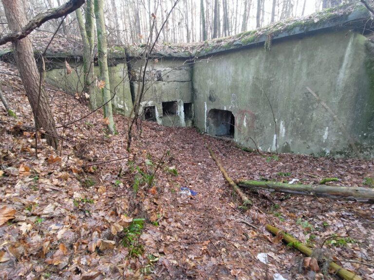 Fort V Dębina, Dębina, województwo mazowieckie - relacja z 01.2023, zdjęcie 8