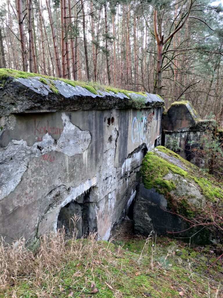 Fort V Dębina, Dębina, województwo mazowieckie - relacja z 01.2023, zdjęcie 10