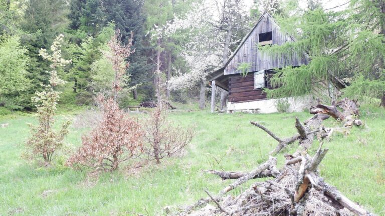 Dom przy szlaku, Żywiec, województwo śląskie - zdjęcie 2