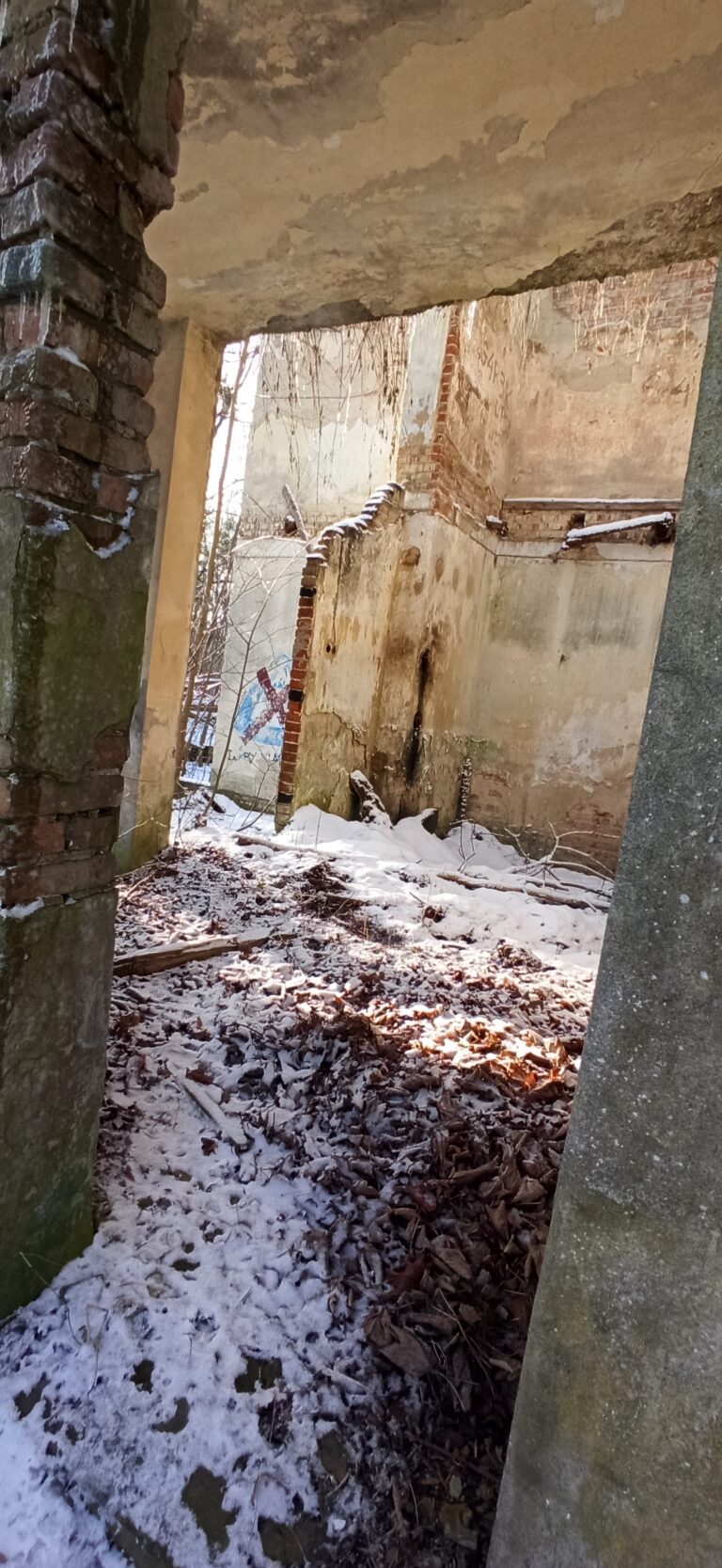 Ruiny Willi w Lutomiersku, Wrząca, województwo łódzkie - zdjęcie 7
