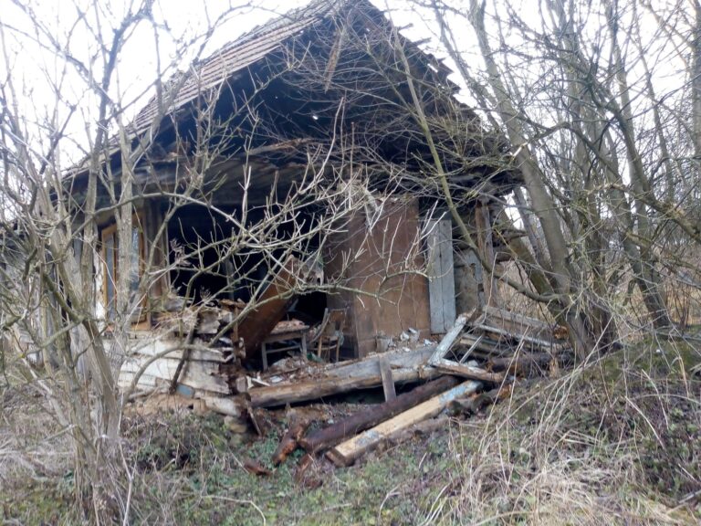 Stara chata bez ściany Dąbie, Dąbie, województwo małopolskie - zdjęcie 1