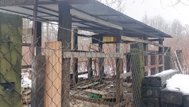Zajazd Restauracja “Ranczo”, Katowice, województwo śląskie - zdjęcie 5