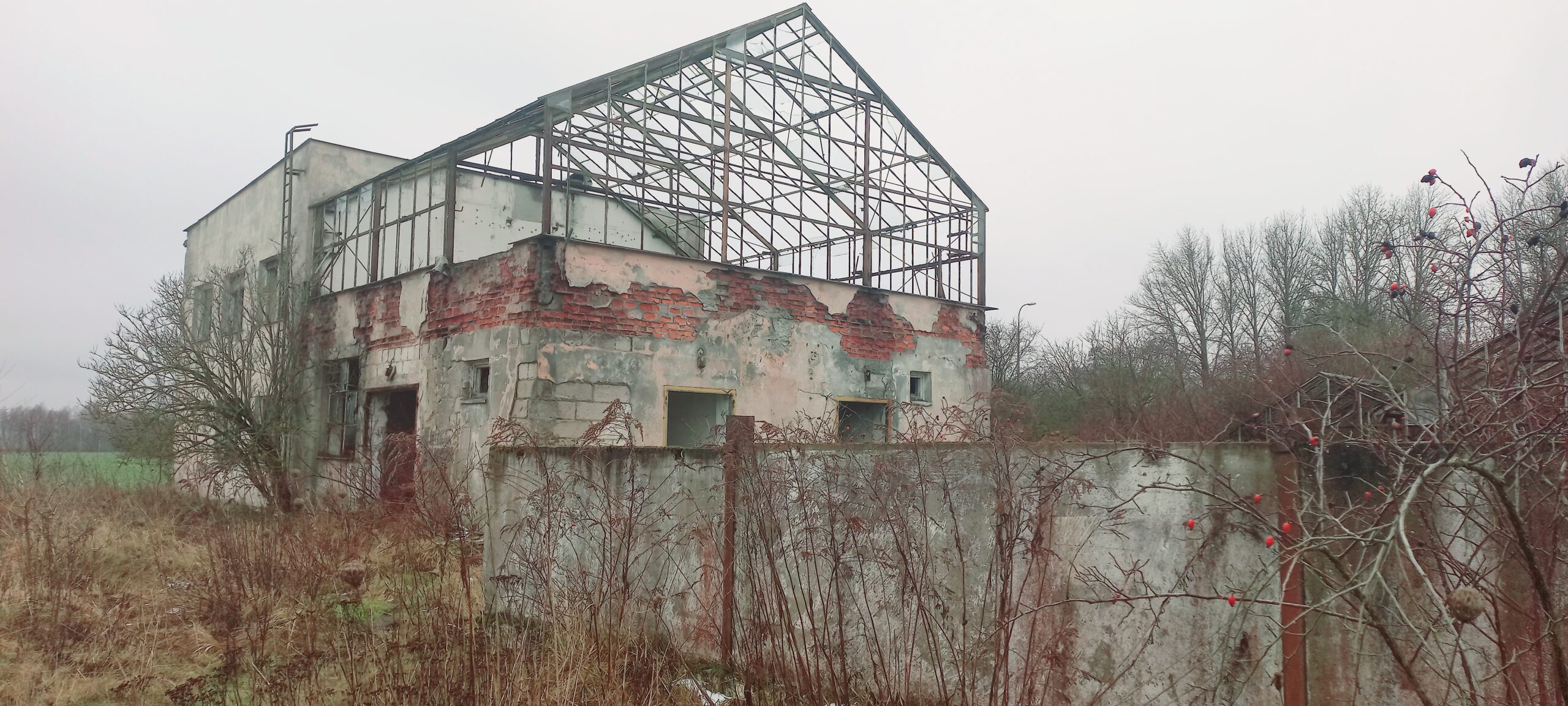 Stare lotnisko i baza wojskowa Debrzno, Rudziska, wielkopolskie — zdjęcie 1