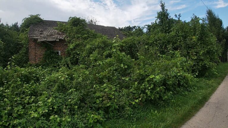 Opuszczony zarośnięty dom, Brzezinka, województwo małopolskie - zdjęcie 1