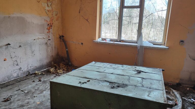 PGR – kompleks opuszczonych budynków, Łódź, województwo łódzkie - zdjęcie 6